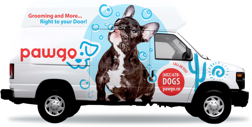 pawgo van